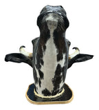 Decoração De Parede Cabeça De Boi Nelore Country Empalhada